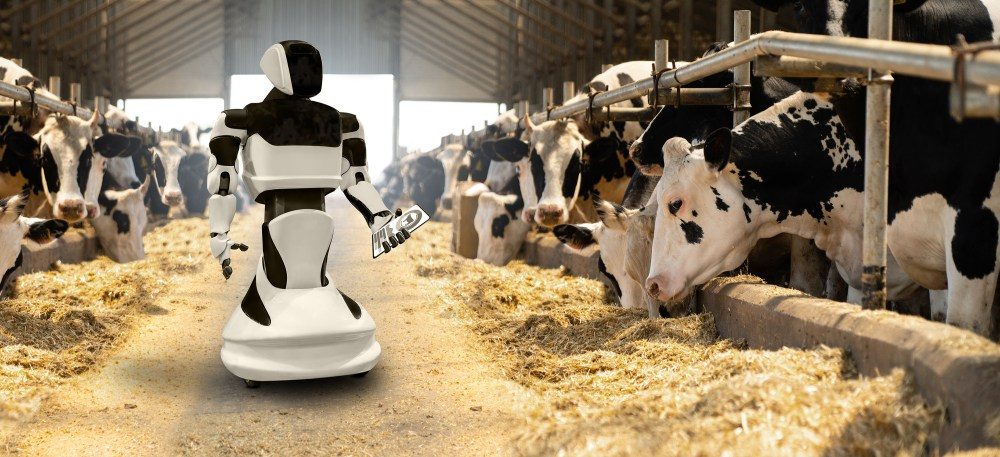 Roboter auf einer Milchfarm — Smart-Farming-Konzept