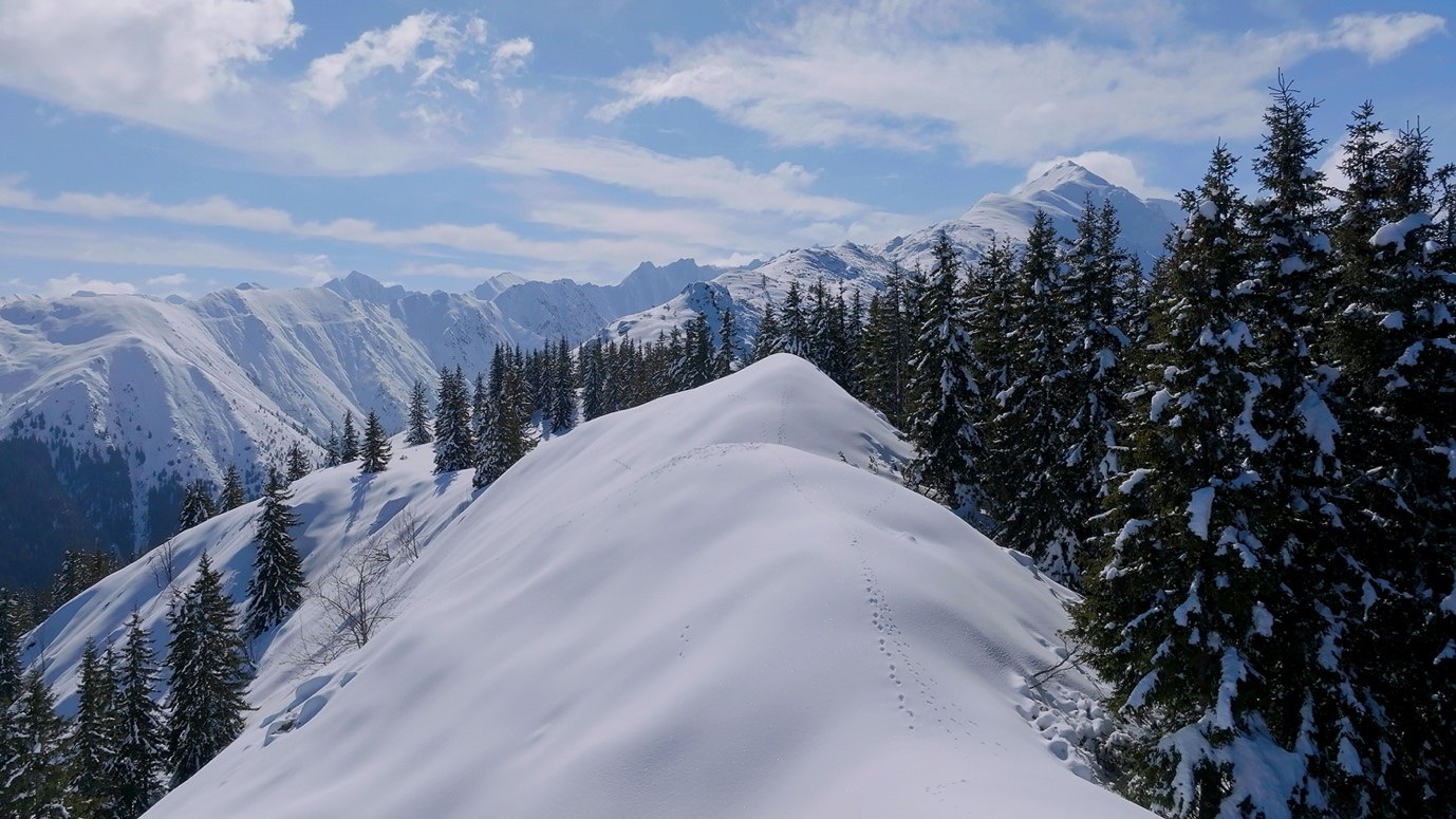 Tierspuren im Schnee auf einer Höhenlage der Karpaten