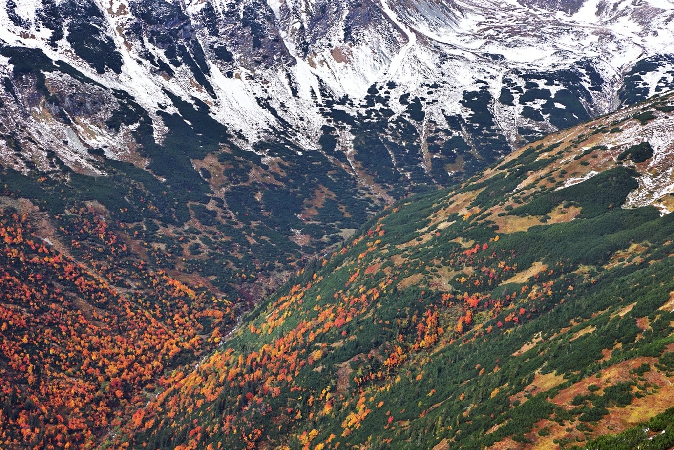 Herbstliches Karpatental