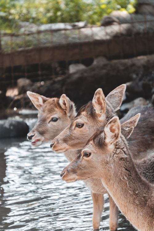 In Wassernähe